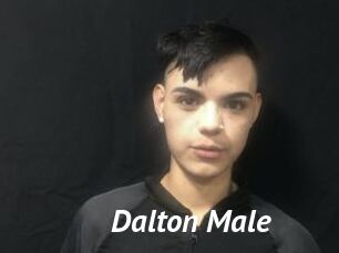 Dalton_Male