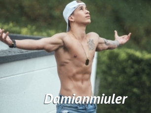 Damianmiuler