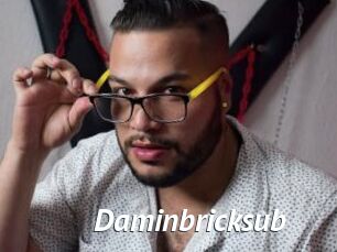 Daminbricksub