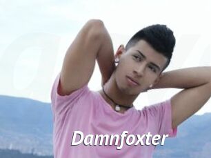 Damnfoxter
