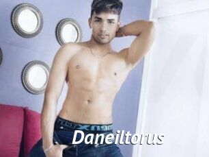 Daneil_torus
