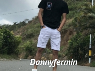 Dannyfermin