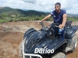 Darioo