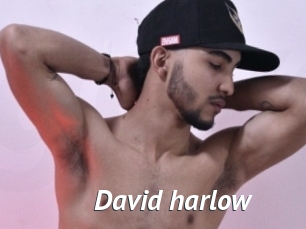 david_harlow Gay Vod