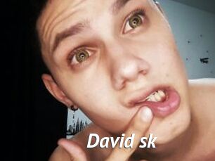 David_sk