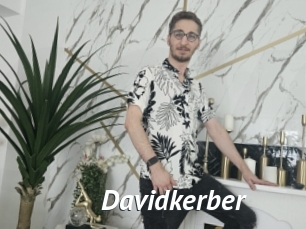 Davidkerber
