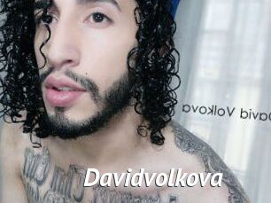 Davidvolkova