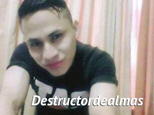 Destructordealmas