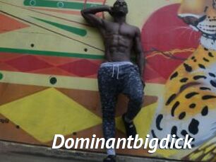 Dominantbigdick