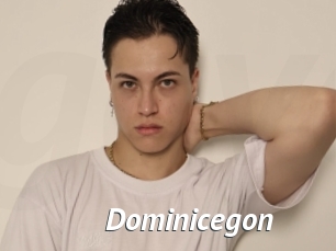 Dominicegon