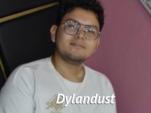 Dylandust