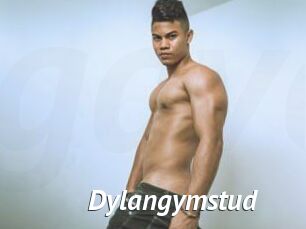 Dylangymstud