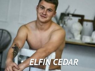 ELFIN_CEDAR