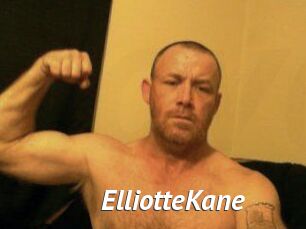 Elliotte_Kane