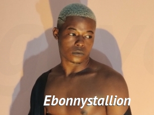Ebonnystallion