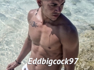 Eddbigcock97