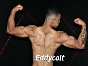 Eddycolt