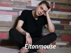 Eitonmouse
