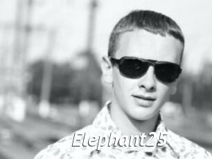 Elephant25