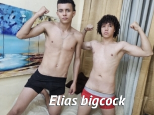 elias_bigcock Gay Vod