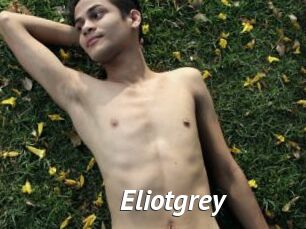 Eliotgrey