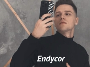 Endycor