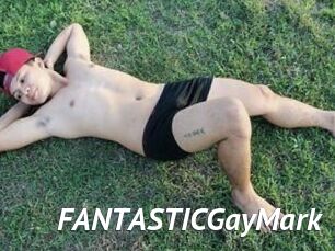FANTASTICGayMark
