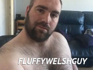 FLUFFYWELSHGUY