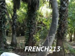 FRENCH213