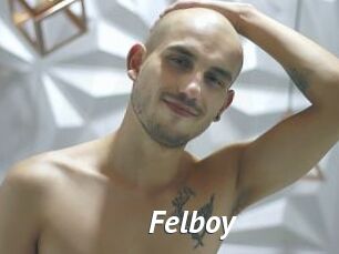 Felboy