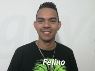 Felino