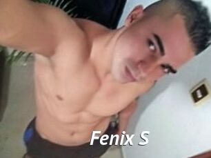 Fenix_S