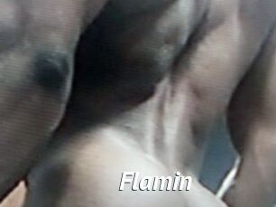 Flamin