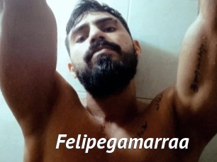 Felipegamarraa