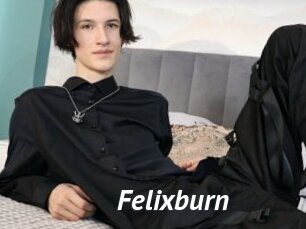 Felixburn