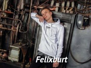 Felixburt
