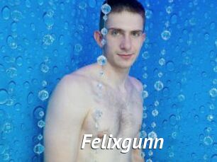 Felixgunn