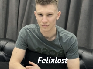 felixlost Gay Vod