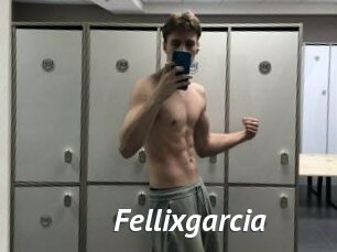 Fellixgarcia