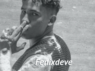 Fenixdeve