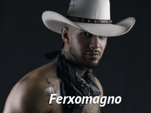 Ferxomagno
