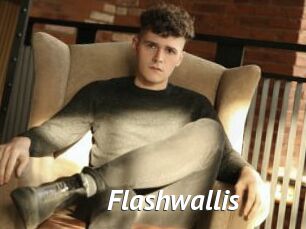 Flashwallis
