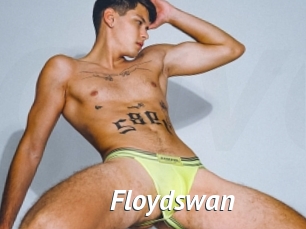 Floydswan