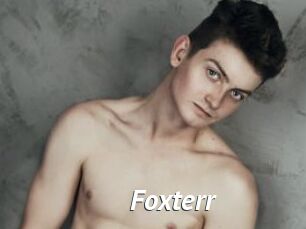 Foxterr
