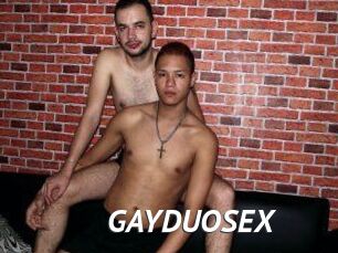 GAY_DUO_SEX