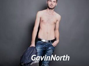 GavinNorth