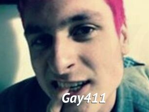 Gay411