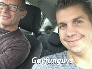 Gayfunguys