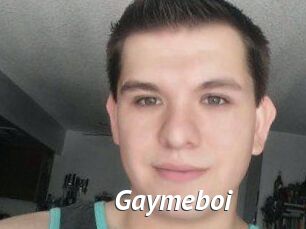 Gaymeboi