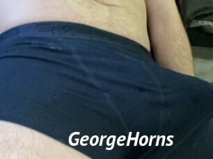 GeorgeHorns